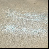 Janitorial/Ice_Melt.jpg