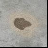 Janitorial/Oil_Dry.jpg