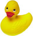 Potdevin/duck.jpg