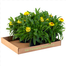 Boxes Trays Boxes/tray.jpg